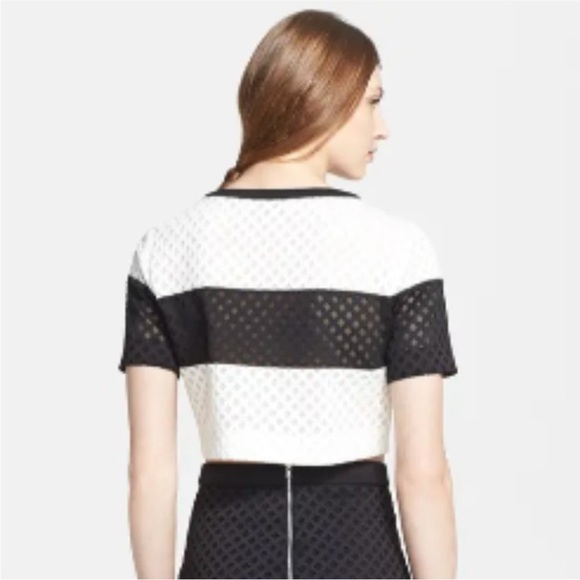 Elizabeth and James Leda Lattice Mesh Crop Top - Picture 8 of 10